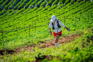 BIB: 
                            <button type="button" onclick="openModal(19162008)" class="btn btn-primary btn-sm float-right btn-popup" data-toggle="modal" data-target=".modal-high-quality">
                        <i class="fas fa-shopping-cart"></i> Add to Cart
                    </button>
                                            <button type="button" onclick="isThisMe(19162008, true)" class="btn btn-success btn-sm float-right btn-popup btn-isme hidden" data-toggle="tooltip" data-placement="bottom" title="นี่คือรูปของคุณใช่ไหม คลิกที่นี่เพื่อเอาเข้าอัลบั้ม">
                        <i class="fas fa-plus"></i> Add to album
                    </button>
                    <button type="button" onclick="isThisMe(19162008, false)" class="btn btn-warning btn-sm float-right btn-popup btn-isnotme hidden">
                        <i class="fas fa-ban"></i> Remove from album
                    </button>